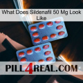 What Does Sildenafil 50 Mg Look Like 05